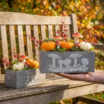 Artikel Holzkasten-Set Fliegenpilz, Herbstdeko, Gartendeko, Pflanzkisten L40/30cm 2er-Set