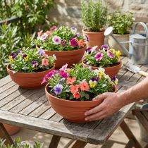Artikel R-Schale Plastik Terrakotta Ø 13cm - 19cm, 10St