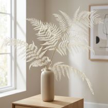 Artikel Getrockneter Farn Deko gebleicht Brackenfarn H75cm 10 St