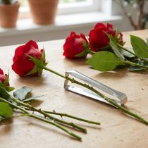 Artikel Rosenentdorner Klassik Silber Entdorner für Rosen 13cm