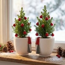 Artikel Weihnachtstopf mit Wichtel, Adventsdeko, Übertopf aus Beton Weiß, Rot Ø8cm H12,5cm 2St