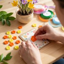 Artikel Deko-Knöpfe Ø1,5cm bunt 200 St