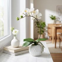 Artikel Phalaenopsis Creme im Keramiktopf 33cm