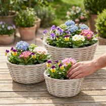 Artikel 3er Set Weidenkorb Pflanzkorb Dekokorb Weiß Gewaschen Vintage Ø21,5/26/31cm für Heim und Garten