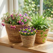 Artikel Pflanzkorb-Set Rattan Natur/Braun, 3-teilig, Ø26/22/16cm – Dekorativ & Vielseitig