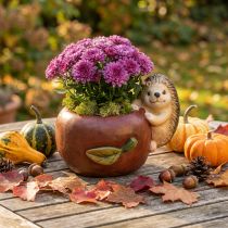 Artikel Pflanzgefäß, Apfel mit Igel, Herbstdeko, Übertopf, Keramik Ø16cm H22cm B33cm