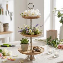 Artikel Etagere Mangoholz Natur Tischdeko Ø19/23/28cm H55cm