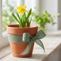 Artikel Juteband Netzband Dekoband Jute Grün Salbei 5cm 40m