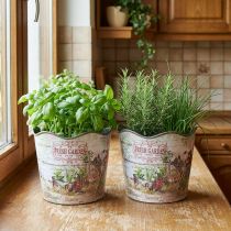Artikel Kräutertopf Blumentopf Plastik Fresh Garden H13,5cm 2St