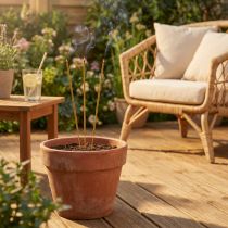 Artikel Citronella Räucherstäbchen Bambus L50cm 20 Stäbchenx2St