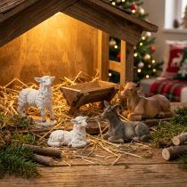 Artikel Krippenfiguren Tiere für Weihnachtskrippe Set 6-11cm 4 St