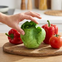Artikel Eisbergsalat künstlich Real-Touch Ø12cm