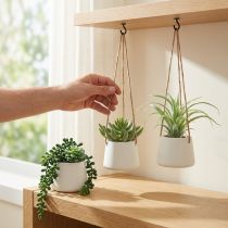 Artikel Blumenampeln Sukkulenten künstlich Grün Sortiert 18cm 3St