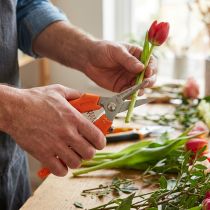 Artikel Blumenschere für präzisen Blumenschnitt und Floristik