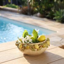 Artikel Keramik-Schale mit Zitronen – Mediterrane Deko-Schale für Tisch & Küche Ø21,5cm H8,5cm