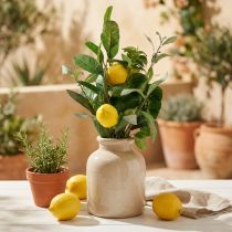 Artikel Dekozweige künstliche Zitronen Oliven 50cm Mediterran Vase Sommerdeko