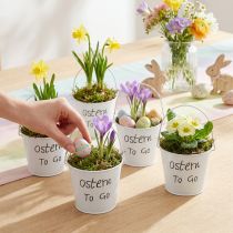 Artikel Übertopf Ostern Mini Blumentopf Metall Eimer Weiß 7cm 6 St