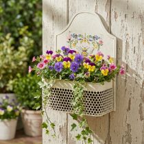 Artikel Blumenkasten zum Hängen Metall Biene Creme Farbig L29cm
