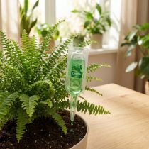 Artikel Chrysal Grünpflanzen & Palmen Vitalkur zur optimalen Pflege Ihrer Zimmerpflanzen 30ml 5St