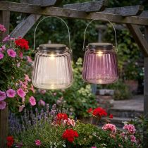 Artikel LED Gartenleuchte Glas Solar zum Hängen Lila Ø10,5cm 2St