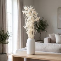 Artikel Trockenblumen Nigella Bund Edle Naturdeko für exklusive Einrichtung 70cm 50g