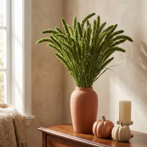 Artikel Trockenblumen, Setaria Pumila, Borstenhirse Grün 75cm 200g