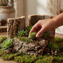 Artikel Korkrinde Natur 5er-Set Basteln Dekoration 30x20cm
