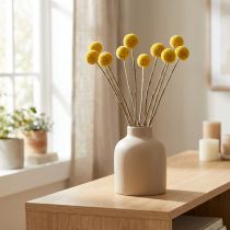 Artikel Craspedia Trockenblumen Gelb 70cm Deko 10 St