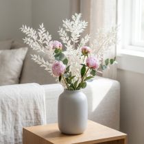 Artikel Ruscus Zweige Dekozweige Trockenblumen gebleicht 10 St