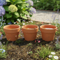 Artikel Aquasafe Wasserspeicher mit Insektentränke für Garten Balkon Terrasse 12cm 3St