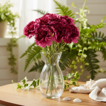 Artikel Nelke Kunstblume zweifarbig Langer Stiel 56cm Bund mit 8St
