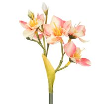 Artikel Deko Blütenzweig Inkalilie für zeitlose Arrangements 33cm 6St