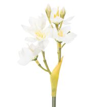 Artikel Narzissenzweig für saisonale Hochzeitsarrangements wunderschön 33cm 6St