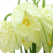 Artikel Schachbrettblumen Fritillaria künstlich Weiß, Grün 40cm 12 St