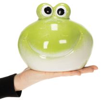 Artikel Frosch Dekofigur süße Keramik Figur für Wohnzimmer Tischdeko 18cm