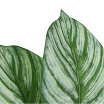 Artikel Calathea Künstlich Korbmarante Kunstpflanzen Grün 51cm