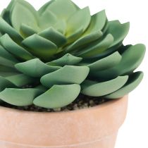 Artikel Sukkulente im Topf Echeveria künstlich Grün Ø15cm