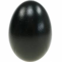 Artikel Gänseeier Schwarz Ausgeblasene Eier Osterdeko 10 St