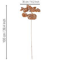 Artikel Gartenstecker Kürbis Motiv Metall Dekoration Rost 100cm