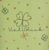 Artikel Geschenktüte Viel Glück Grün Gold Papier 18×10×23cm 2St