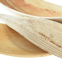 Artikel Kokosschalen Kokosblätter gebleicht 22-42cm 25St