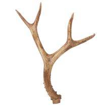 Artikel Künstliches Geweih naturgetreu rustikal 32cm