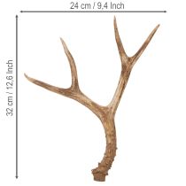 Artikel Künstliches Geweih naturgetreu rustikal 32cm
