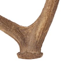 Artikel Deko-Geweih künstlich rustikal Hüttendeko 50cm