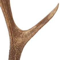 Artikel Deko-Geweih künstlich rustikal Hüttendeko 50cm
