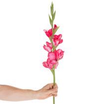 Artikel Künstliche Gladiole mit dekorativen Blüten 88cm