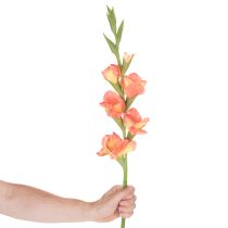 Artikel Künstliche Gladiole mit vielen Blüten für Blumenstrauß 88cm