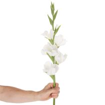 Artikel Künstliche Gladiole Langer Stiel für Vasen 88cm