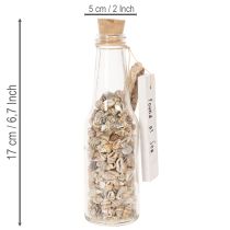 Artikel Glasflasche Deko mit Muscheln und Anhänger maritime Tischdeko 17cm 2St