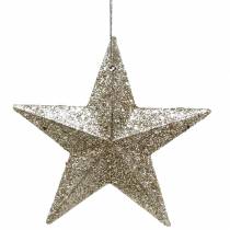 Artikel Glitterstern Champagner 9,5/5cm 18 St